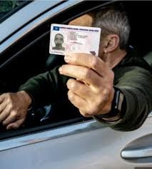 führerschein kaufen belgien