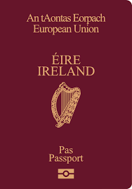 Reisepass kaufen Irland