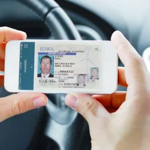 kann man einen führerschein kaufen