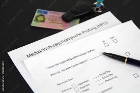 führerschein fragebögen